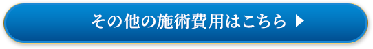 その他の施術費用はこちら